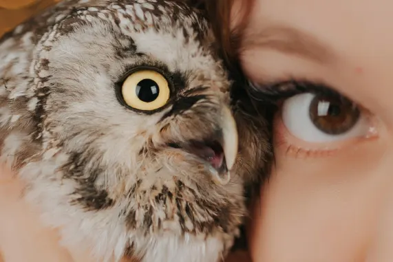 Tusk Kaszinó Támogatás